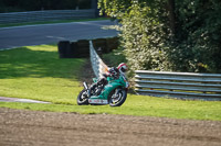 Middle 1 Group Green Bikes